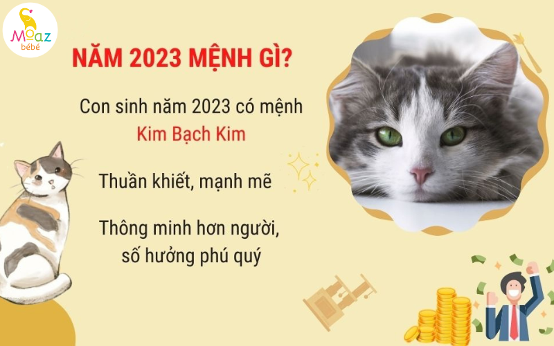 Bản mệnh của bé gái sinh năm 2023 Quý Mão 