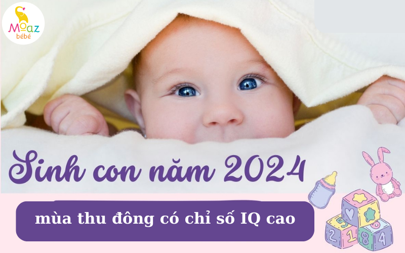 Bé sinh năm 2024 vào mùa thu đông có chỉ số IQ cao hơn so với 2 mùa còn lại