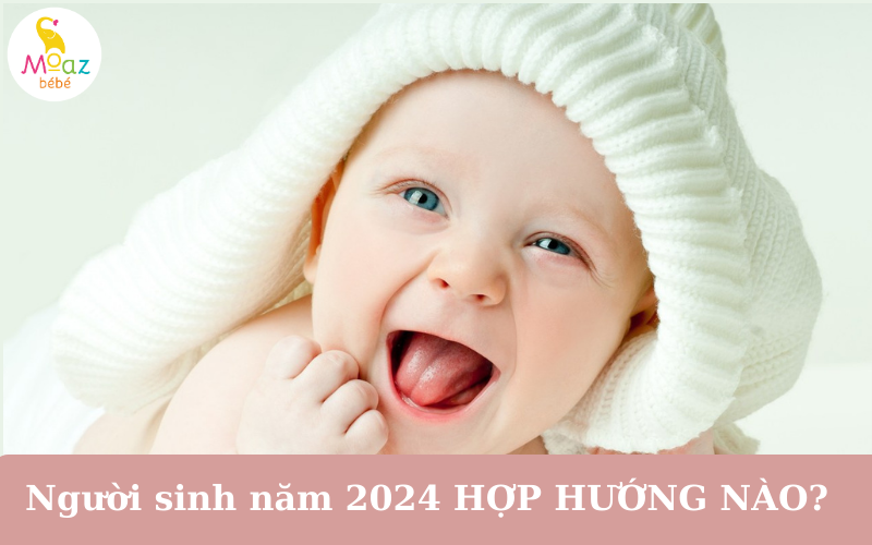 Chọn hướng hợp với năm sinh giúp bé Giáp Thìn 2024 có cuộc sống bình an, công việc thuận buồm xuôi gió 