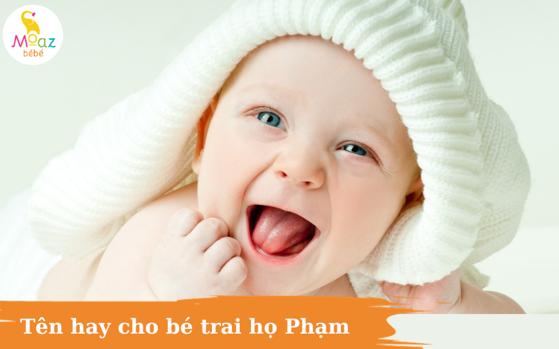 Đặt tên cho bé trai họ phạm mong con có trí tuệ và sức khỏe