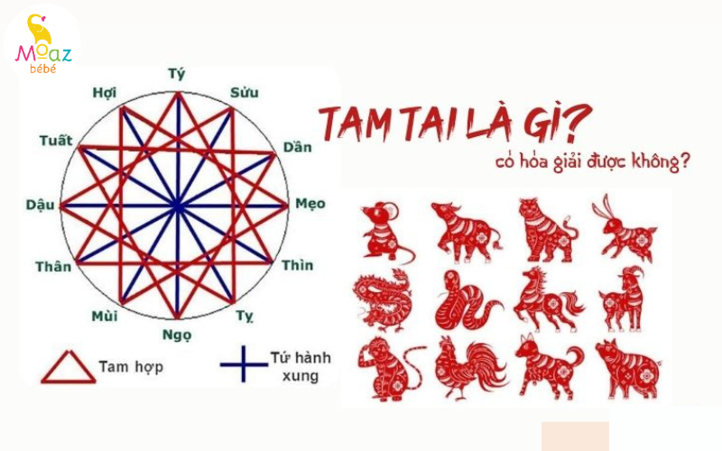 "3 năm Tam Tai năm nào nặng nhất?" - Bí mật và Cách hóa giải để Mang lại May mắn