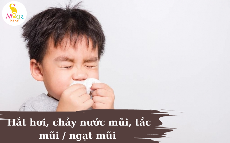 Bé bị hắt hơi, chảy nước mũi, tắc mũi là dấu hiệu của bệnh tai - mũi - họng