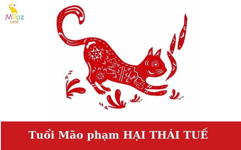 Người tuổi Mão phạm Thái Tuế 2024