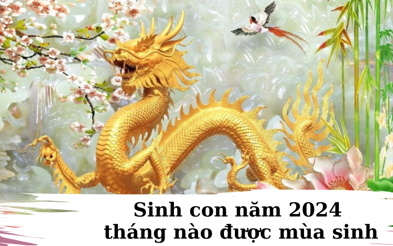 Các bé sinh năm 2024 vào mùa thu đông được mùa sinh con thông minh sáng dạ, chiều cao vượt trội