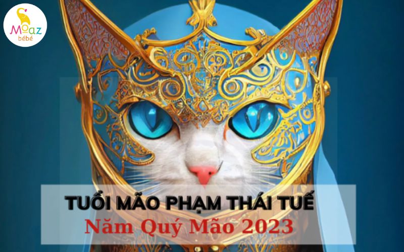 Tuổi Mão phạm Trực Thái Tuế năm 2023