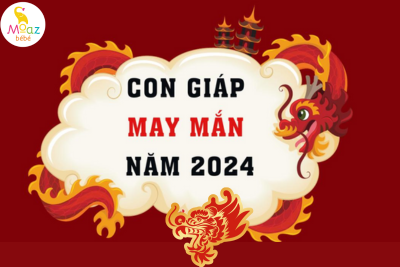cocon giap may man 2024
