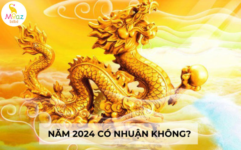 nam 2024 co nhuan khong