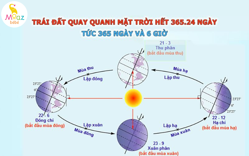 Năm nhuận được tính theo chu kỳ quay giữa mặt trời, mặt trăng và trái đất