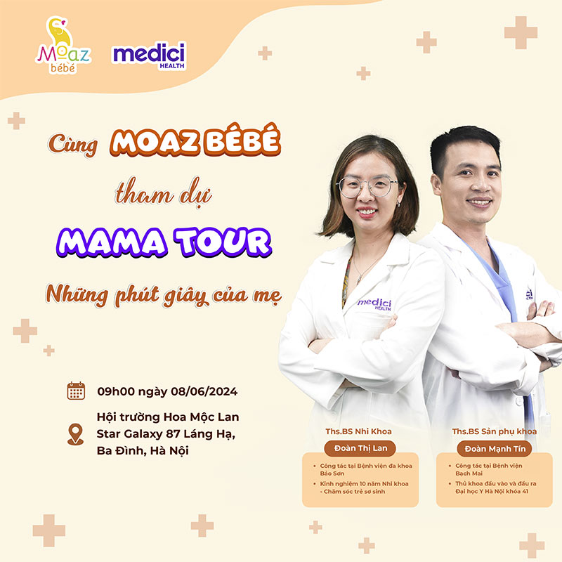 hoi thao mama tour