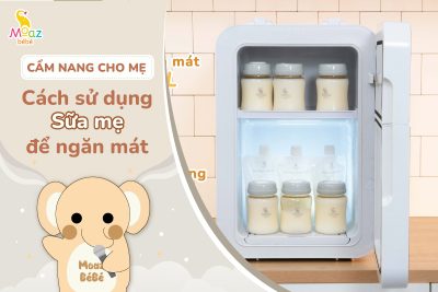 cách sử dụng sữa mẹ để ngăn mát