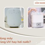 nên mua máy tiệt trùng uv hay hơi nước