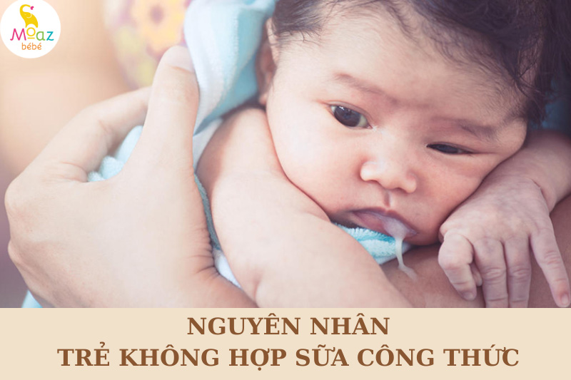 nguyên nhân trẻ không hợp sữa công thức