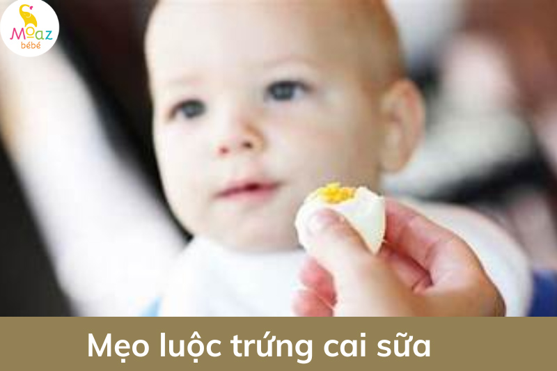 Mẹo luộc trứng cai sữa 