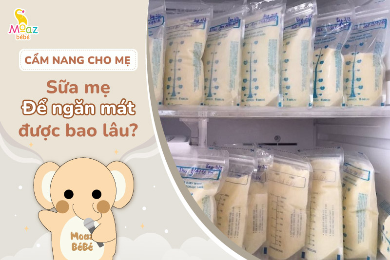 Thời gian bảo quản sữa mẹ trong ngăn mát bao lâu là tốt nhất