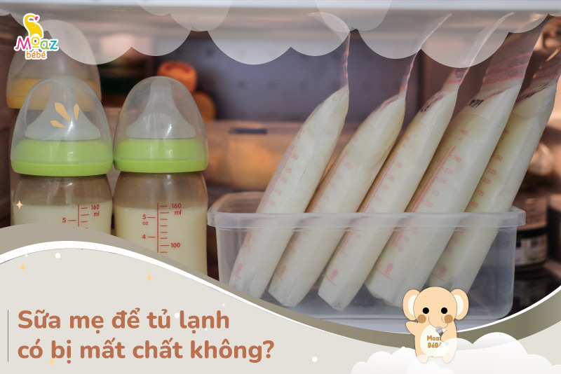 sữa mẹ để tủ lạnh có bị mất chất không