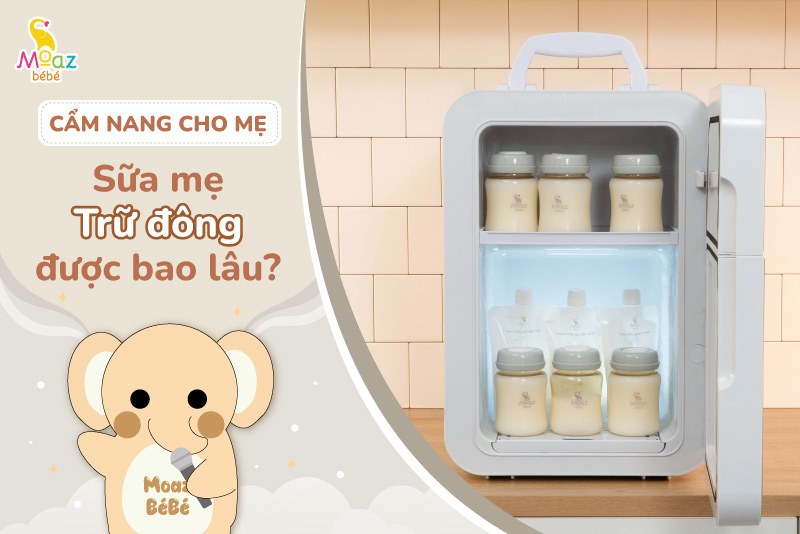 sữa mẹ trữ đông được bao lâu