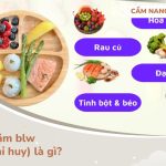 ăn dặm blw tự chỉ huy