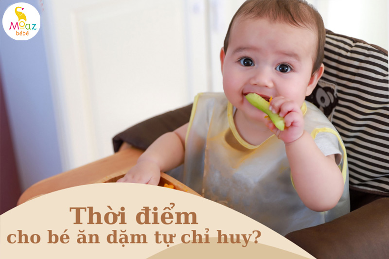 Thời điểm nên cho bé ăn dặm tự chỉ huy?