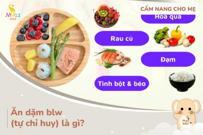 ăn dặm blw tự chỉ huy