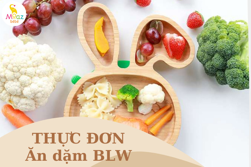 thực đơn ăn dặm tự chỉ huy cho bé