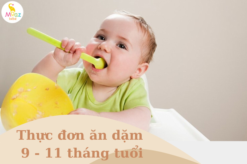 Thực đơn ăn dặm kiểu nhật giai đoạn từ 9 - 11 tháng tuổi