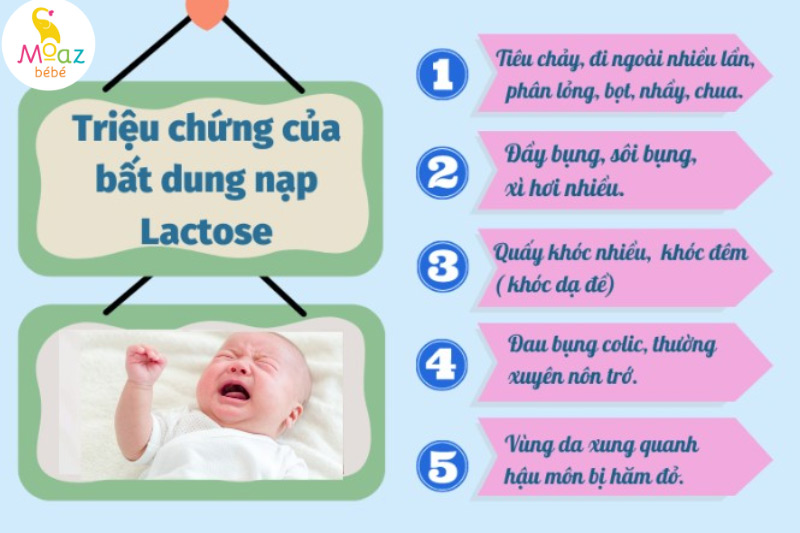 Dấu hiệu bất dung nạp lactose