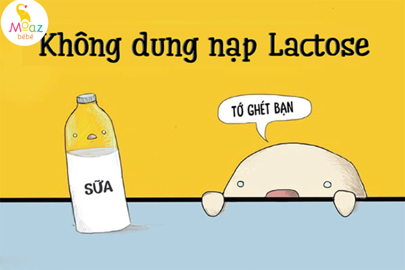 Cách chữa trị bất dung nạp lactose ở trẻ sơ sinh đơn giản