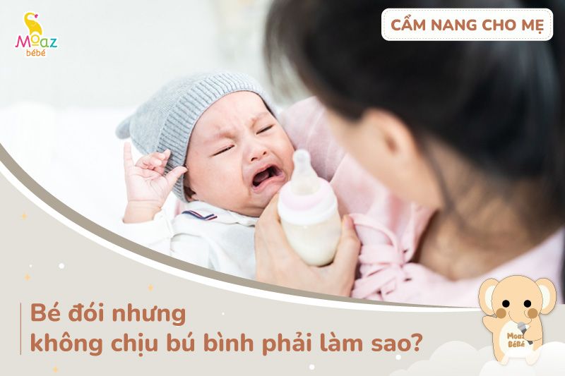 Bé đói nhưng không chịu bú bình mẹ phải làm gì?