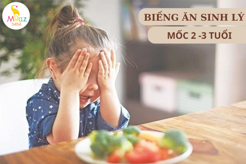 biếng ăn sinh lý giai đoạn 2 đến 3 tuổi