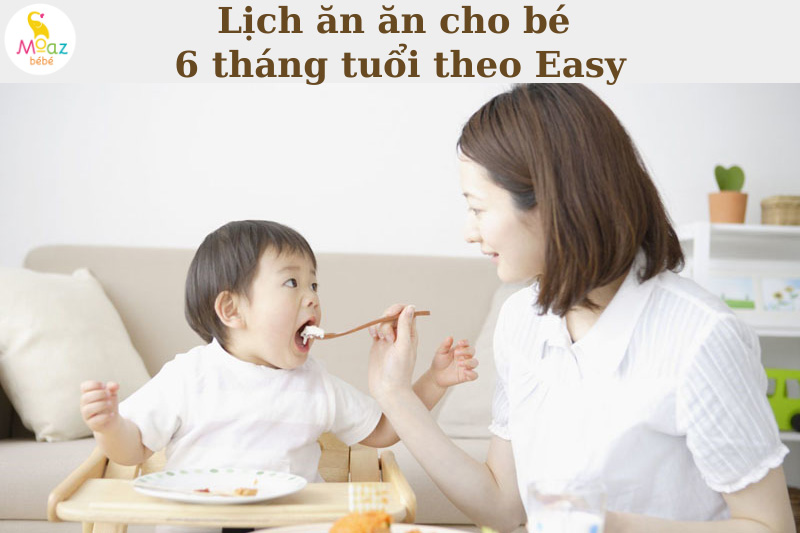 Lịch ăn ăn cho bé 6 tháng tuổi theo Easy