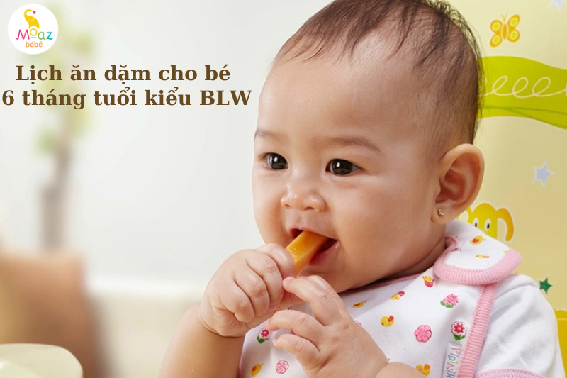 Lịch ăn dặm cho bé 6 tháng tuổi kiểu BLW