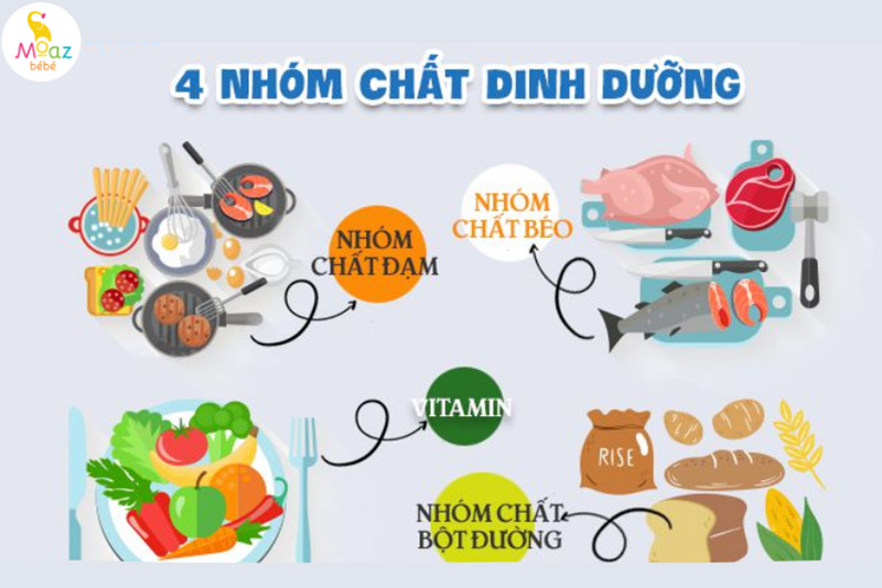 Trẻ 6 tháng tuổi ăn được những gì? 