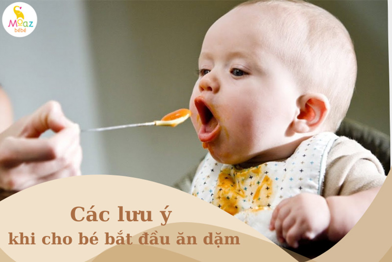 Các lưu ý khi bắt đầu cho con ăn dặm 