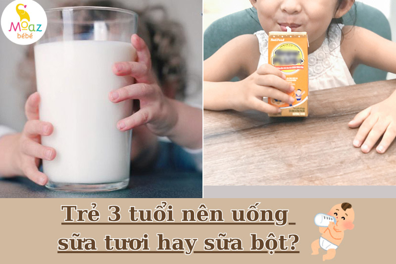 Trẻ 3 tuổi nên uống sữa tươi hay sữa bột?