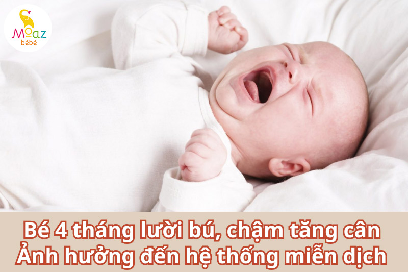 Bé 4 tháng lười bú, chậm tăng cân gây ảnh hưởng đến hệ thống miễn dịch 