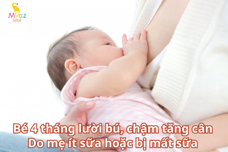 bé lười bú bình do mẹ ít sữa hoặc bị mất sữa 