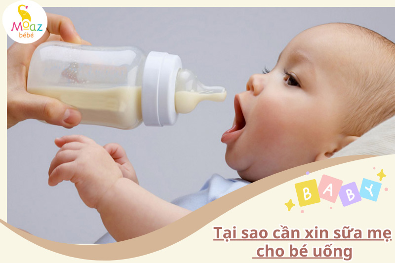 Tại sao cần xin sữa mẹ cho con uống? 