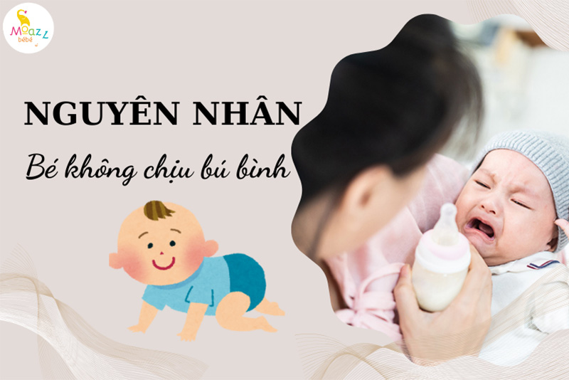 nguyên nhân bé không chịu bú bình