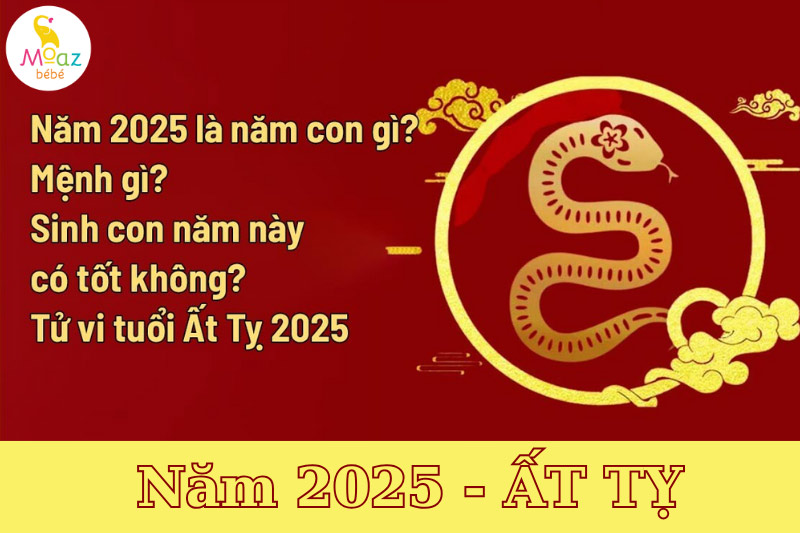 năm 2025 là năm con gì