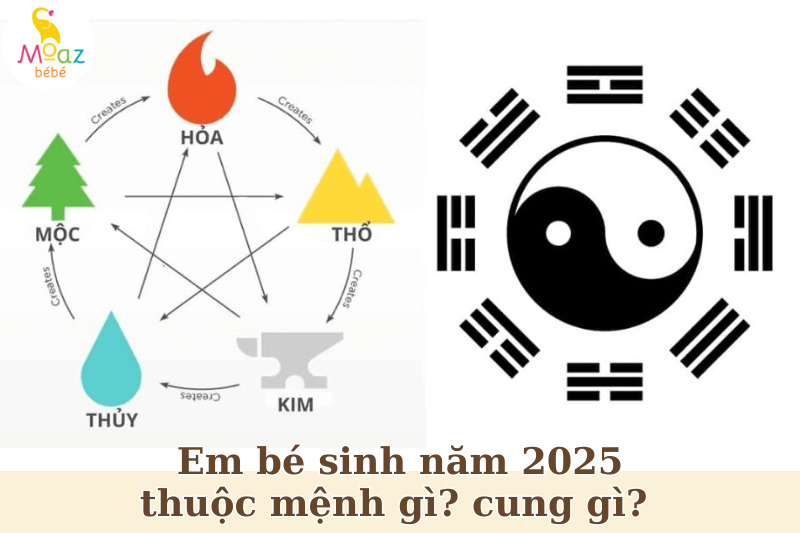 người sinh năm 2025 Ất Tỵ sẽ mang mệnh Hỏa Phú đăng hỏa