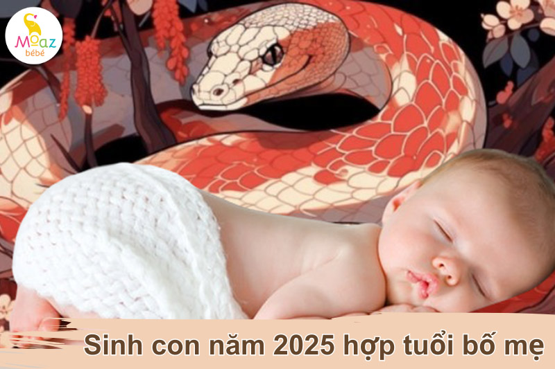 Sinh con năm 2025 có hợp với tuổi bố mẹ không? 