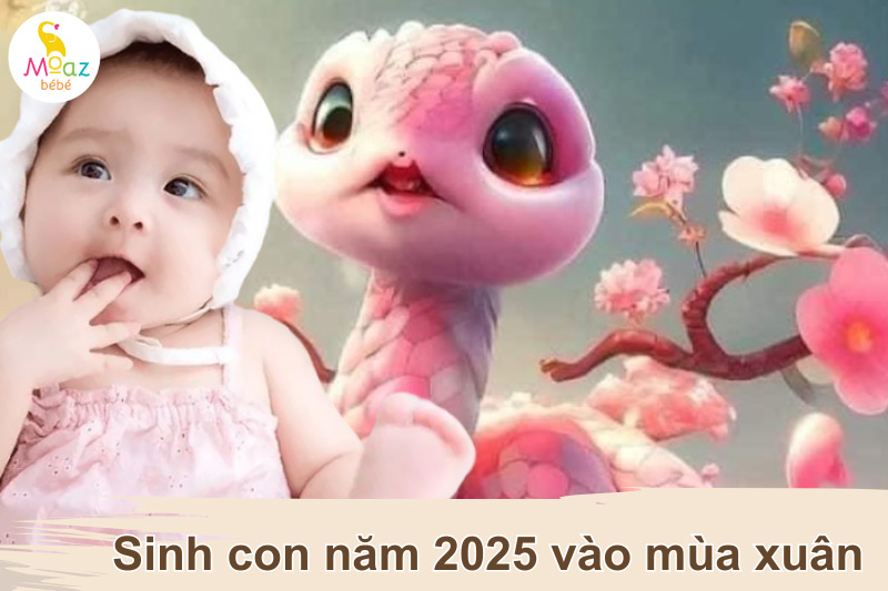 Tại sao nên sinh con năm 2025 vào mùa xuân? 