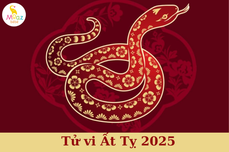 Tử vi tuổi con Ất Tỵ 2025