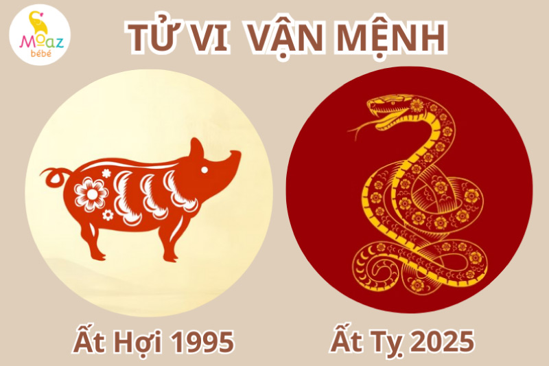 Tổng quan tử vi tuổi Ất Hợi 1995 và Ất Tỵ 2025