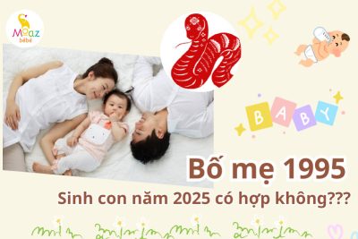 Tuổi Ất Hợi 1995 sinh con năm 2025 có tốt không?