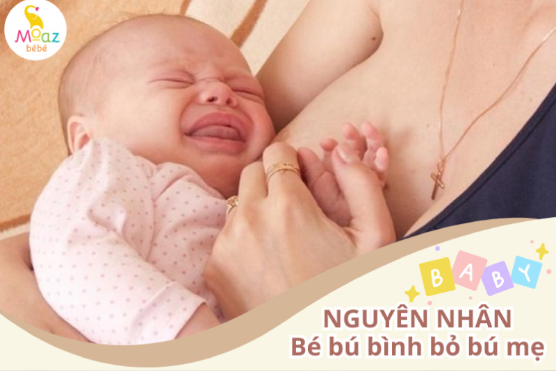 bé bú bình không chịu bú mẹ