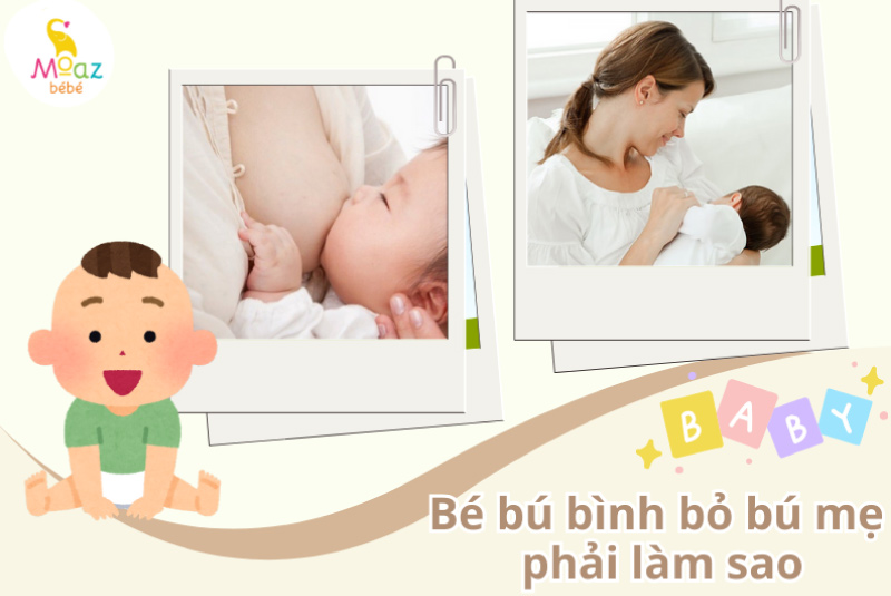 Bé bú bình bỏ bú mẹ phải làm sao? 