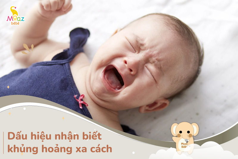 Dấu hiệu nhận biết khủng hoảng xa cách ở trẻ