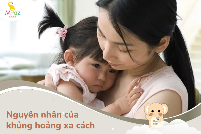 Nguyên nhân gây ra khủng hoảng xa cách