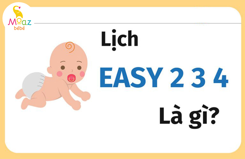 Lịch sinh hoạt easy 2 3 4